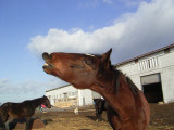 Lises beste Bilder 576.jpg